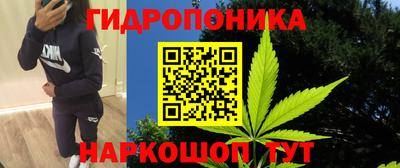 каннабис Волжский