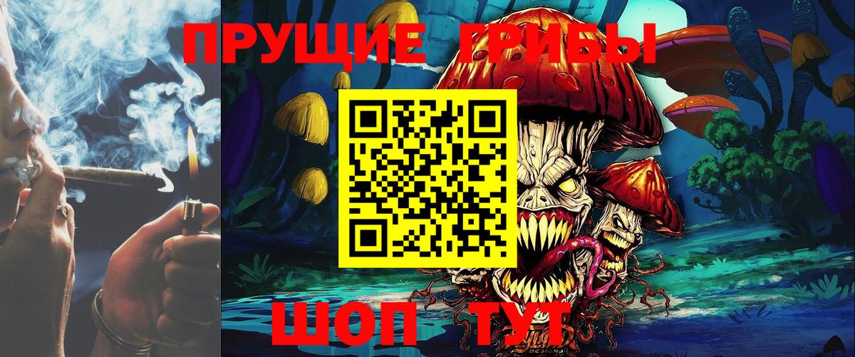 Галлюциногенные грибы Cubensis  Вход с VPN  Орехово-Зуево  Псилоцибиновые грибы мицелий 